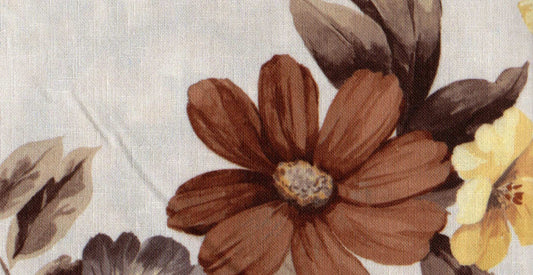 Mimosa /17924/17252