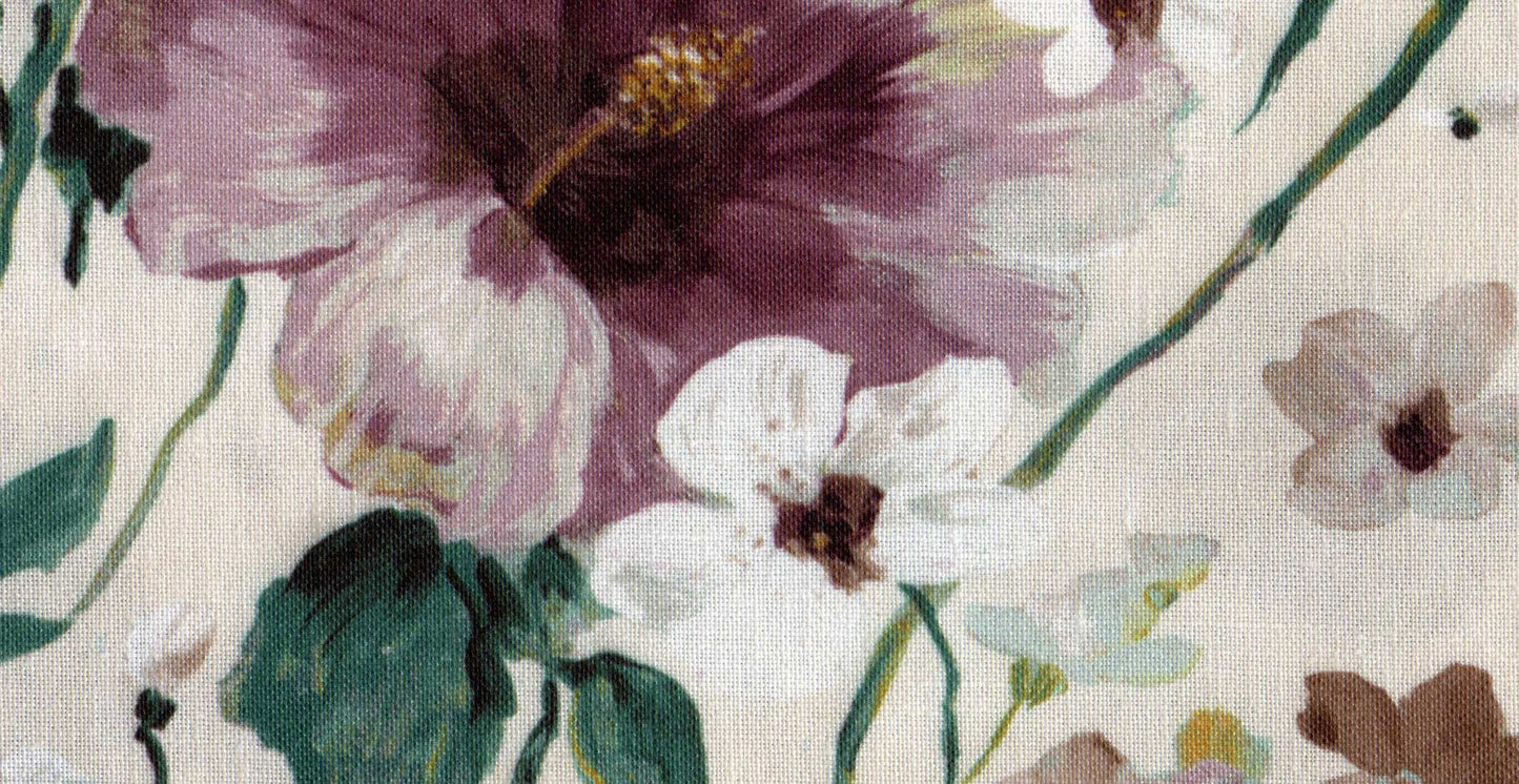 Mimosa /17930/17252