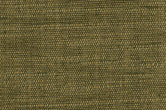 AP-EKAYA/MOLELA MOSS 111112