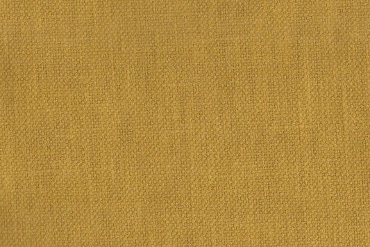 AP-Essentials 32 Noville/Noville Ochre 110219