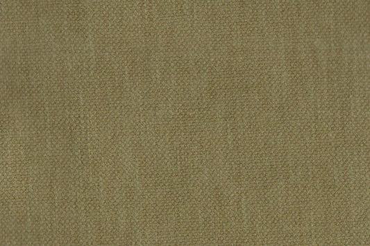 AP-Essentials 32 Noville/Noville Olive 110214