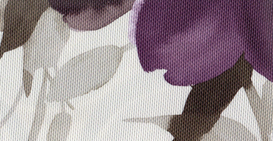 Orchid /10506/15670