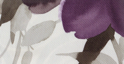 Orchid /10506/15670