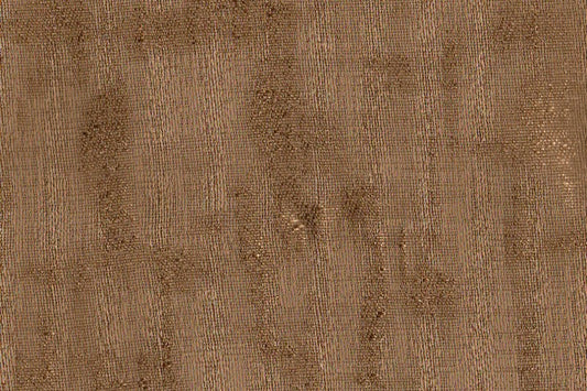 AP-Essentials 7 Solace/Solace soybean 102007