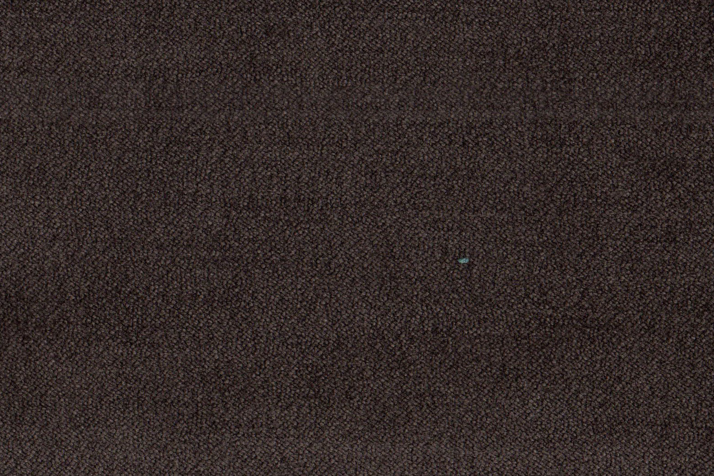 AP-Essentials 28 Valerio/Valerio Bark 109506