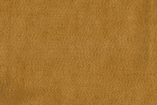 AP-Essentials 28 Valerio/Valerio Lemon Curry 109511