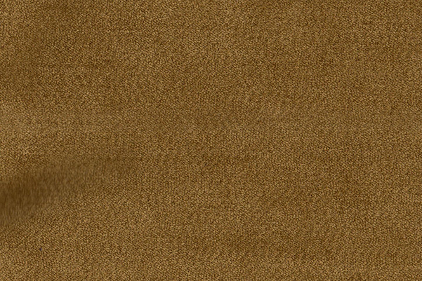 AP-Essentials 28 Valerio/Valerio Mustard Gold 109510