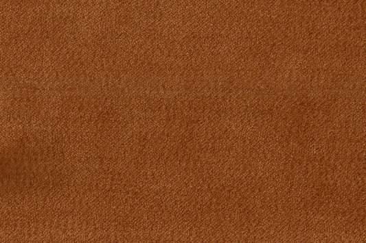 AP-Essentials 28 Valerio/Valerio Pumkin 109539