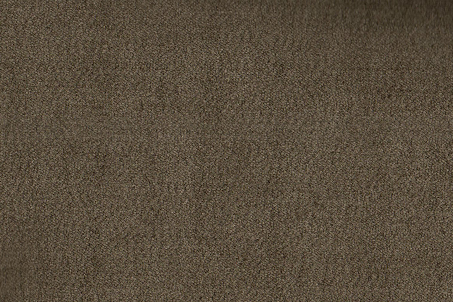 AP-Essentials 28 Valerio/Valerio winter Twig 109505